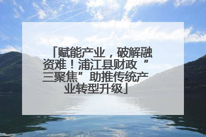 赋能产业，破解融资难！浦江县财政“三聚焦”助推传统产业转型升级