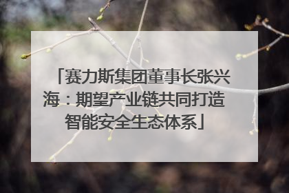 赛力斯集团董事长张兴海：期望产业链共同打造智能安全生态体系
