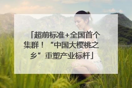 超前标准+全国首个集群！“中国大樱桃之乡”重塑产业标杆