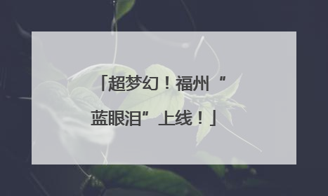 超梦幻！福州“蓝眼泪”上线！