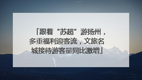 跟着“苏超”游扬州，多重福利迎客流，文旅名城接待游客量同比激增