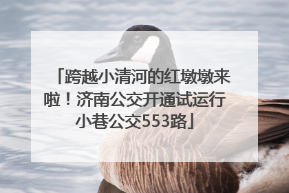 跨越小清河的红墩墩来啦！济南公交开通试运行小巷公交553路