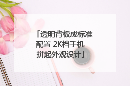透明背板成标准配置 2K档手机拼起外观设计
