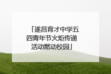 遂昌育才中学五四青年节火炬传递活动燃动校园