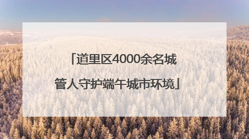 道里区4000余名城管人守护端午城市环境