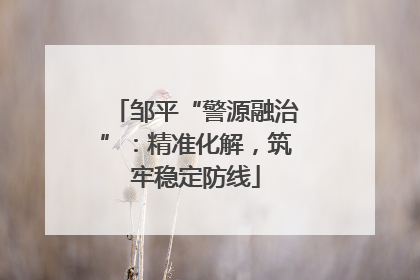 邹平“警源融治”：精准化解，筑牢稳定防线