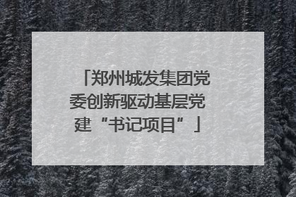 郑州城发集团党委创新驱动基层党建“书记项目”