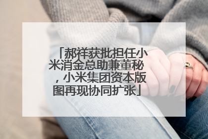 郝祥获批担任小米消金总助兼董秘，小米集团资本版图再现协同扩张