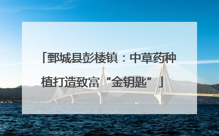 鄄城县彭楼镇：中草药种植打造致富“金钥匙”