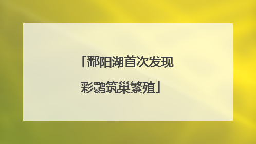 鄱阳湖首次发现彩鹮筑巢繁殖