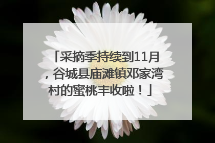 采摘季持续到11月，谷城县庙滩镇邓家湾村的蜜桃丰收啦！