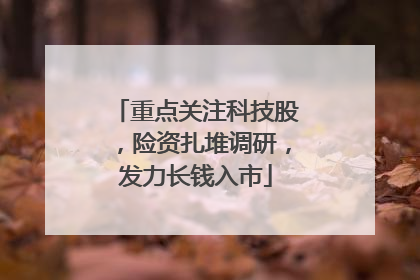 重点关注科技股，险资扎堆调研，发力长钱入市