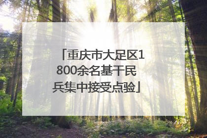 重庆市大足区1800余名基干民兵集中接受点验