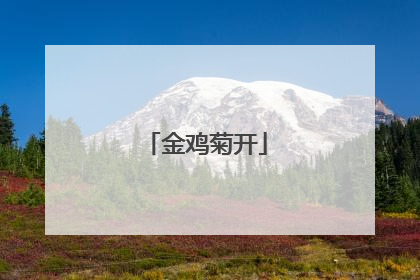 金鸡菊开