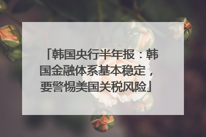 韩国央行半年报：韩国金融体系基本稳定，要警惕美国关税风险
