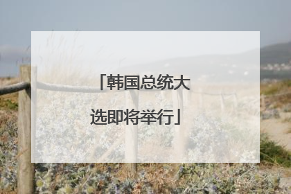 韩国总统大选即将举行