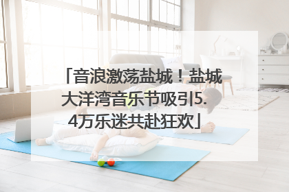 音浪激荡盐城！盐城大洋湾音乐节吸引5.4万乐迷共赴狂欢
