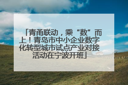 青甬联动，乘“数”而上！青岛市中小企业数字化转型城市试点产业对接活动在宁波开班