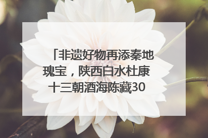 非遗好物再添秦地瑰宝，陕西白水杜康十三朝酒海陈藏30年别具一格