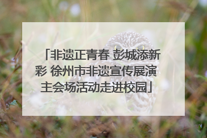 非遗正青春 彭城添新彩 徐州市非遗宣传展演主会场活动走进校园