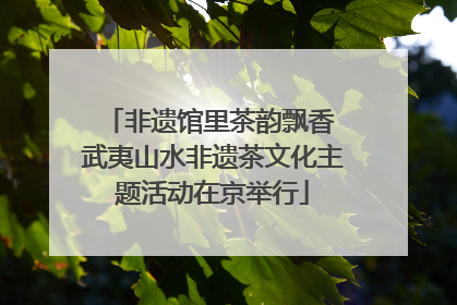 非遗馆里茶韵飘香 武夷山水非遗茶文化主题活动在京举行