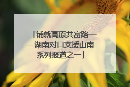 铺就高原共富路——湖南对口支援山南系列报道之一