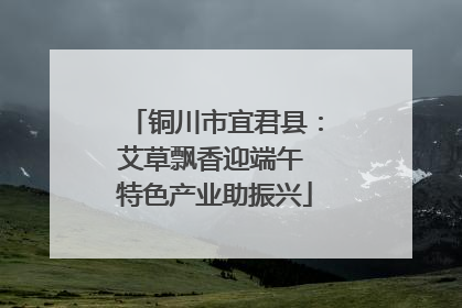 铜川市宜君县：艾草飘香迎端午 特色产业助振兴