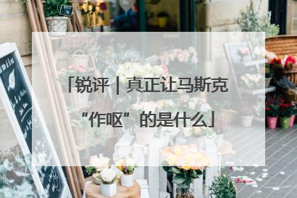 锐评｜真正让马斯克“作呕”的是什么