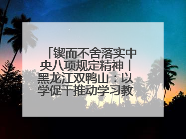 锲而不舍落实中央八项规定精神丨黑龙江双鸭山：以学促干推动学习教育走深走实 从小事入手写好“民生答卷”