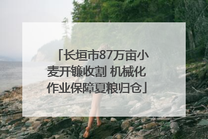 长垣市87万亩小麦开镰收割 机械化作业保障夏粮归仓