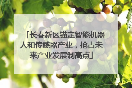 长春新区锚定智能机器人和传感器产业，抢占未来产业发展制高点