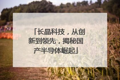 长晶科技，从创新到领先，揭秘国产半导体崛起
