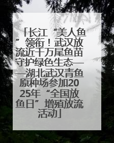 长江“美人鱼”领衔！武汉放流近千万尾鱼苗守护绿色生态——湖北武汉青鱼原种场参加2025年“全国放鱼日”增殖放流活动