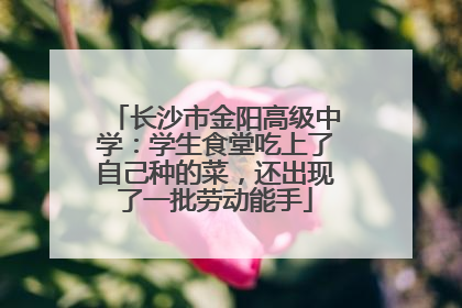 长沙市金阳高级中学：学生食堂吃上了自己种的菜，还出现了一批劳动能手
