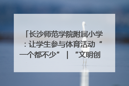 长沙师范学院附属小学：让学生参与体育活动“一个都不少”｜“文明创建耀三湘”专栏