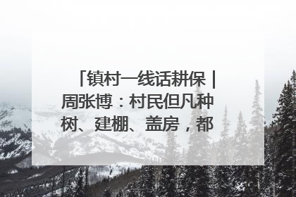 镇村一线话耕保｜周张博：村民但凡种树、建棚、盖房，都要向街道报批