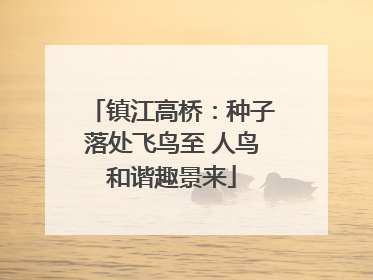 镇江高桥：种子落处飞鸟至 人鸟和谐趣景来