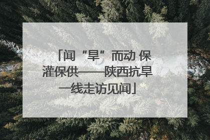 闻“旱”而动 保灌保供——陕西抗旱一线走访见闻