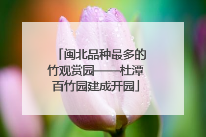 闽北品种最多的竹观赏园——杜潭百竹园建成开园