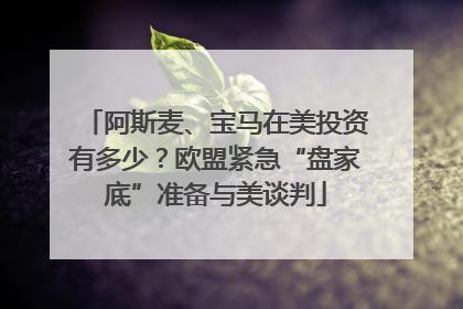 阿斯麦、宝马在美投资有多少？欧盟紧急“盘家底”准备与美谈判