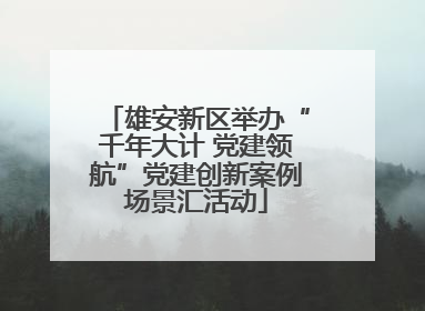 雄安新区举办“千年大计 党建领航”党建创新案例场景汇活动