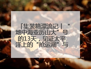 集装箱漂流记丨“地中海亚历山大”号的13天，见证太平洋上的“抢运潮”与“过剩潮”
