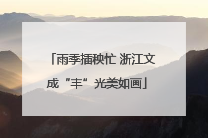 雨季插秧忙 浙江文成“丰”光美如画