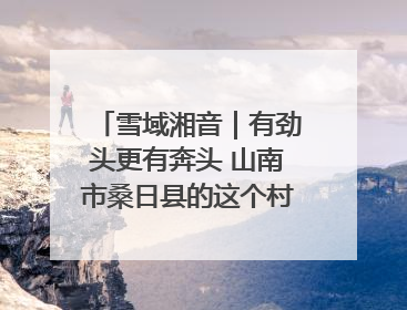 雪域湘音｜有劲头更有奔头 山南市桑日县的这个村落迎来蜕变