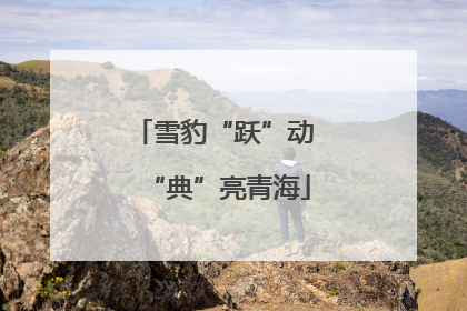 雪豹“跃”动 “典”亮青海