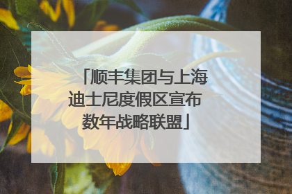 顺丰集团与上海迪士尼度假区宣布数年战略联盟