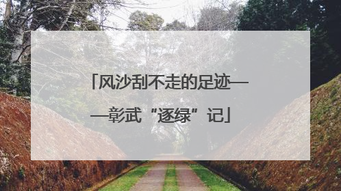 风沙刮不走的足迹——彰武“逐绿”记