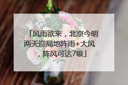 风雨欲来，北京今明两天迎局地阵雨+大风，阵风可达7级