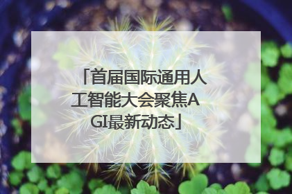 首届国际通用人工智能大会聚焦AGI最新动态