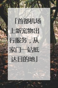 首都机场上新宠物出行服务，从家门一站抵达目的地